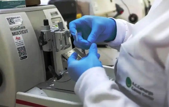 Cura de câncer de próstata pode chegar a até 98% Cura de câncer de próstata pode chegar a até 98%